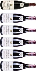 Bourgogne - 1 Premier Cru Nuits-Saint-Georges och 5 Bourgogne Rouge