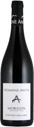 Domaine Anita Morgon Château-Gaillard 2023